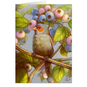 Pinzón cheeked naranja del waxbill con los