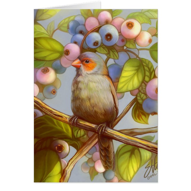 Pinzón cheeked naranja del waxbill con los (Frente)