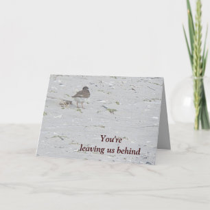 Piping Plover Adiós desde la tarjeta de grupo