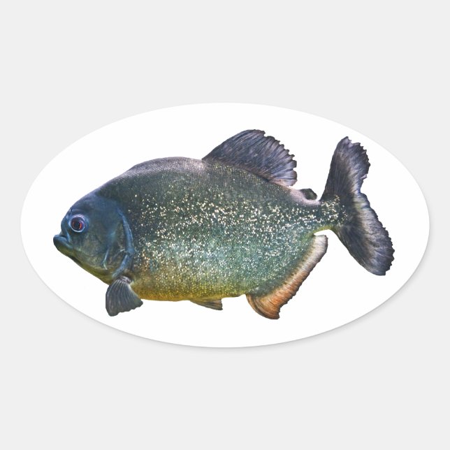 Piranha Pegatina (Anverso)