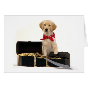 Pirata de oro del perrito