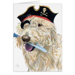 Pirata Labradoodle poner crema
