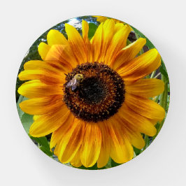 Pisapapeles Alegre girasol amarillo con abeja