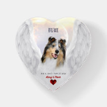 Blue Merle Collie Angel, Sky - Mascota Memorial He