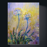 Pisapapeles Claude Monet - Agapanthus<br><div class="desc">Agapanthus,  inmediatamente posterior (Les Agapanthes) - Claude Monet,  1914-1917</div>