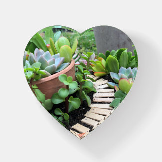 Pisapapeles de hadas suculento del vidrio del