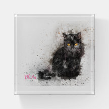 Foto de moda de gato negro con problemas