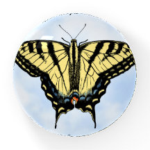 Mariposa amarilla suroeste personalizada