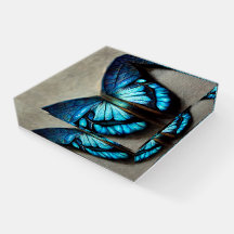 Mariposa morfa azul