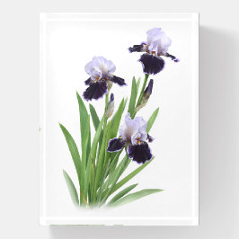 Pisapapeles Morple Iris Trio