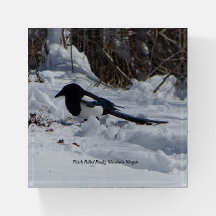 Papel de la espiga de montaña rocosa con billete n