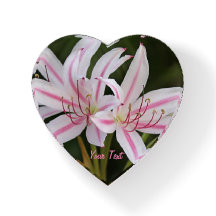 Papel de vidrio cardíaco de Cape Lilies