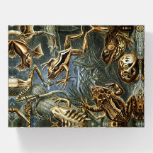 Rana y sapo Ernst Haeckel