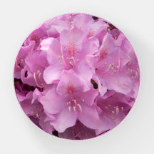 Rhododendros radiantes Papel