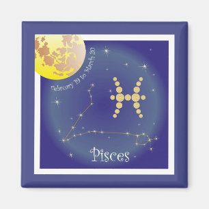 Pisces February 19 to March 20 imán