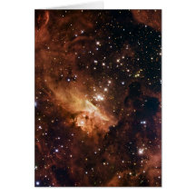 Pismis 24 estrellas marrones NASA