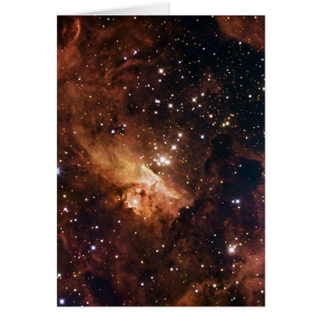 Pismis 24 estrellas marrones NASA (Frente)