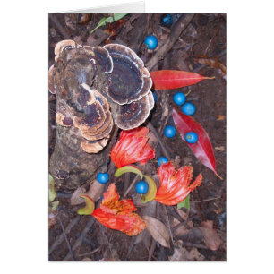 Piso tropical del bosque