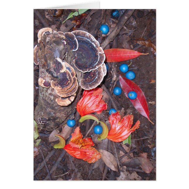 Piso tropical forestal (Frente)