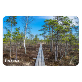 Pista de madera sobre imán de ciénaga