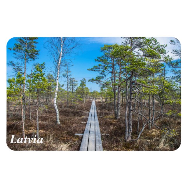 Pista de madera sobre imán de ciénaga (Horizontal)