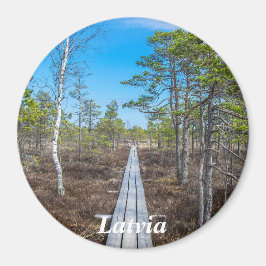 Pista de madera sobre imán de ciénaga