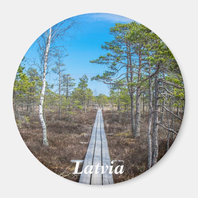 Pista de madera sobre imán de ciénaga (Frente)