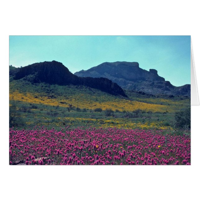 Pistas coloreadas (Anverso (Horizontal))