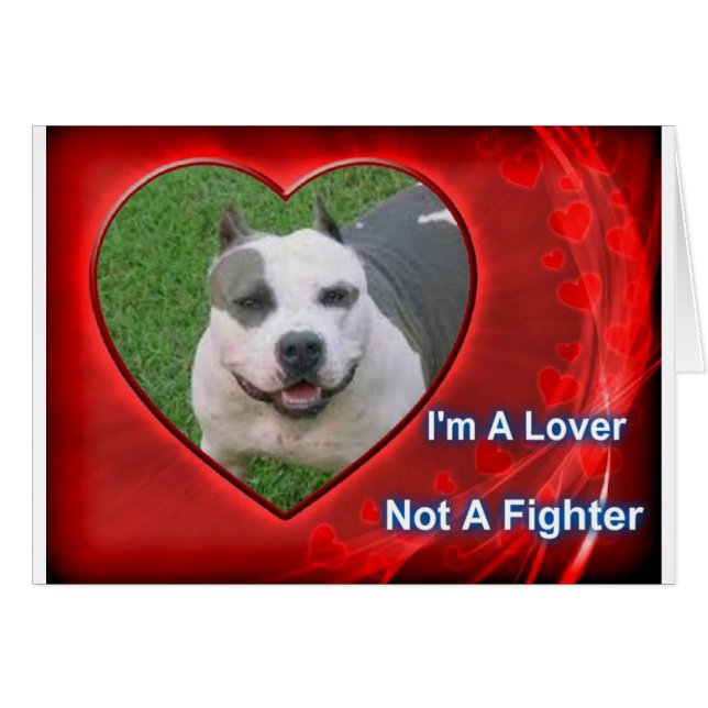 Pit Bull Lover (Anverso (Horizontal))
