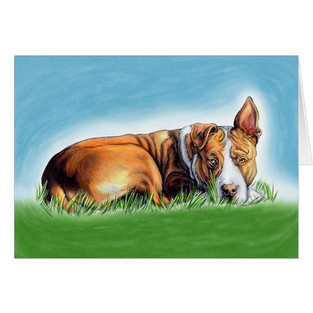 Pit Bull te oye (Anverso (Horizontal))