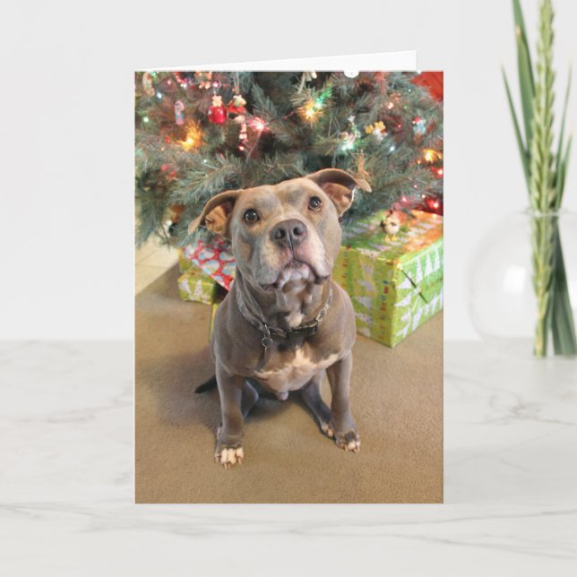 Pitbull ama a los Navidades tarjeta de Navidades e (Anverso)