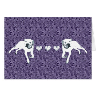 Pitbull americano blanco con los corazones/púrpura