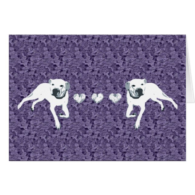 Pitbull americano blanco con los corazones/púrpura (Anverso (Horizontal))