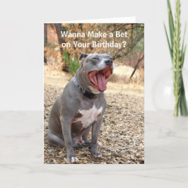 Pitbull Apuesta Tarjeta de Cumpleaños