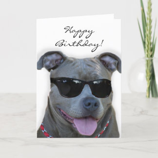 Pitbull azul del feliz cumpleaños con la tarjeta