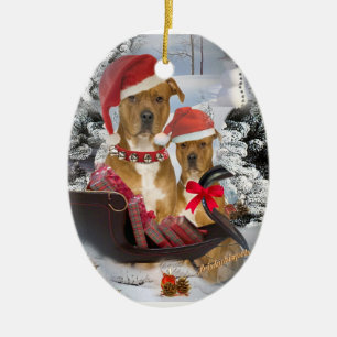 Pitbull con el ornamento del trineo de Santa