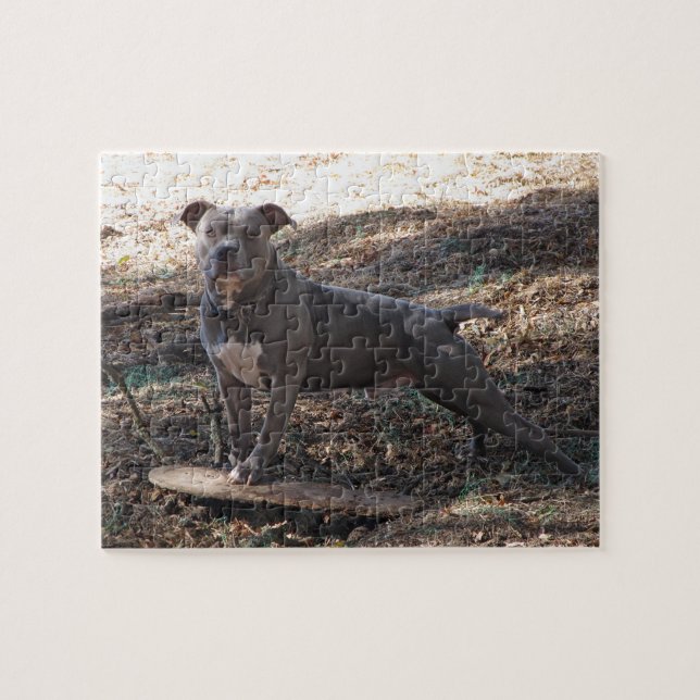 Pitbull con el rompecabezas del skateboard (Horizontal)