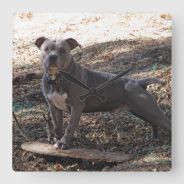 Pitbull con reloj de pared de skateboard