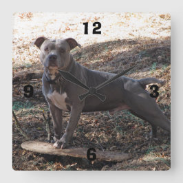 Pitbull con reloj de pared numerado de patineta