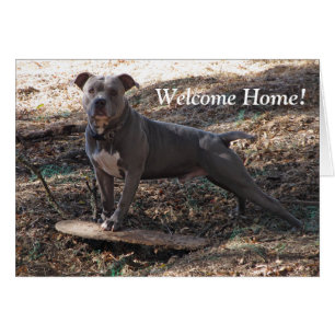 Pitbull con tarjeta de bienvenida de patineta