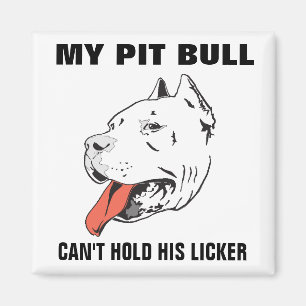 Pitbull divertido no puede sostener su imán de