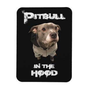Pitbull en el imán de la capilla