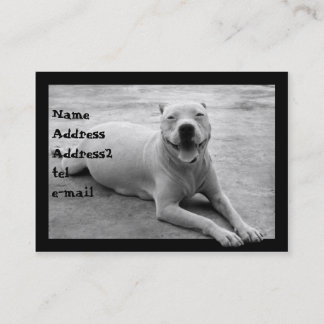 Pitbull en tarjeta de visita blanco y negro
