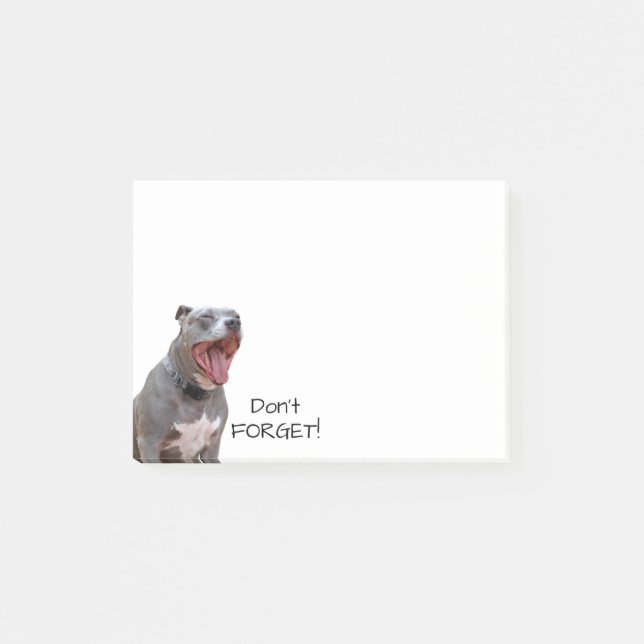 Pitbull Morning Yawn no olvidan las notas (Anverso)