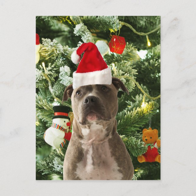 Pitbull Perro Árbol de Navidad Ornamentos Snowman (Anverso)
