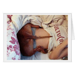 ¡Pitbull soñoliento tonto!