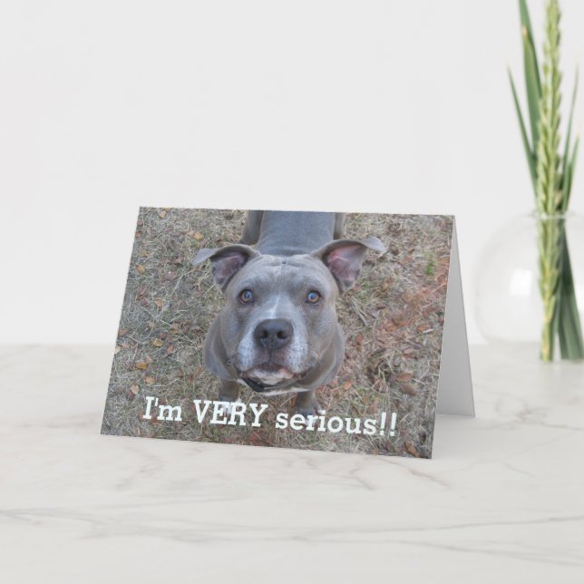 Pitbull, soy la tarjeta del día del padre serio (Anverso)