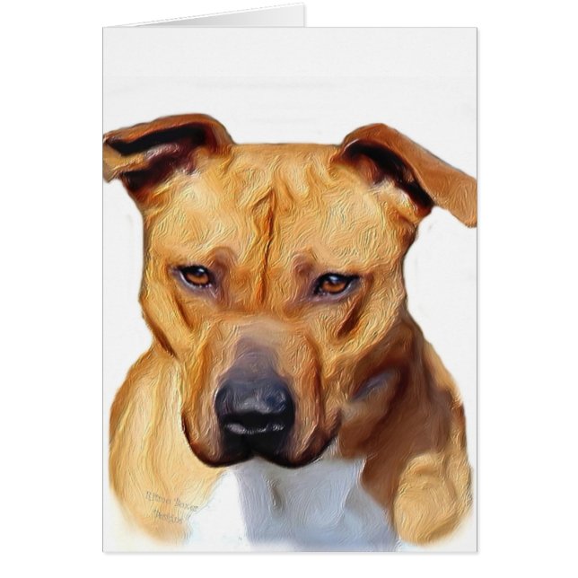 Pitbull Terrier (Frente)