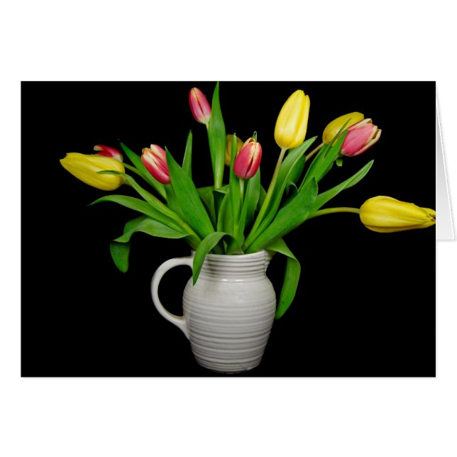 Pitcher en imagen (Anverso (Horizontal))