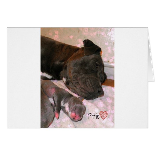 Pittie Love (Anverso (Horizontal))
